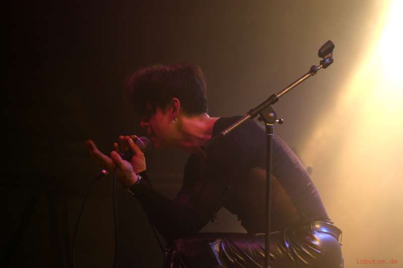 xymox49