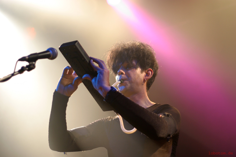 xymox66