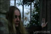 Photo Number 11