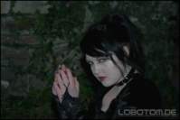 Photo Number 5
