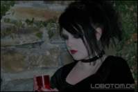 Photo Number 6