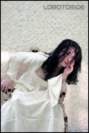 Photo Number 18